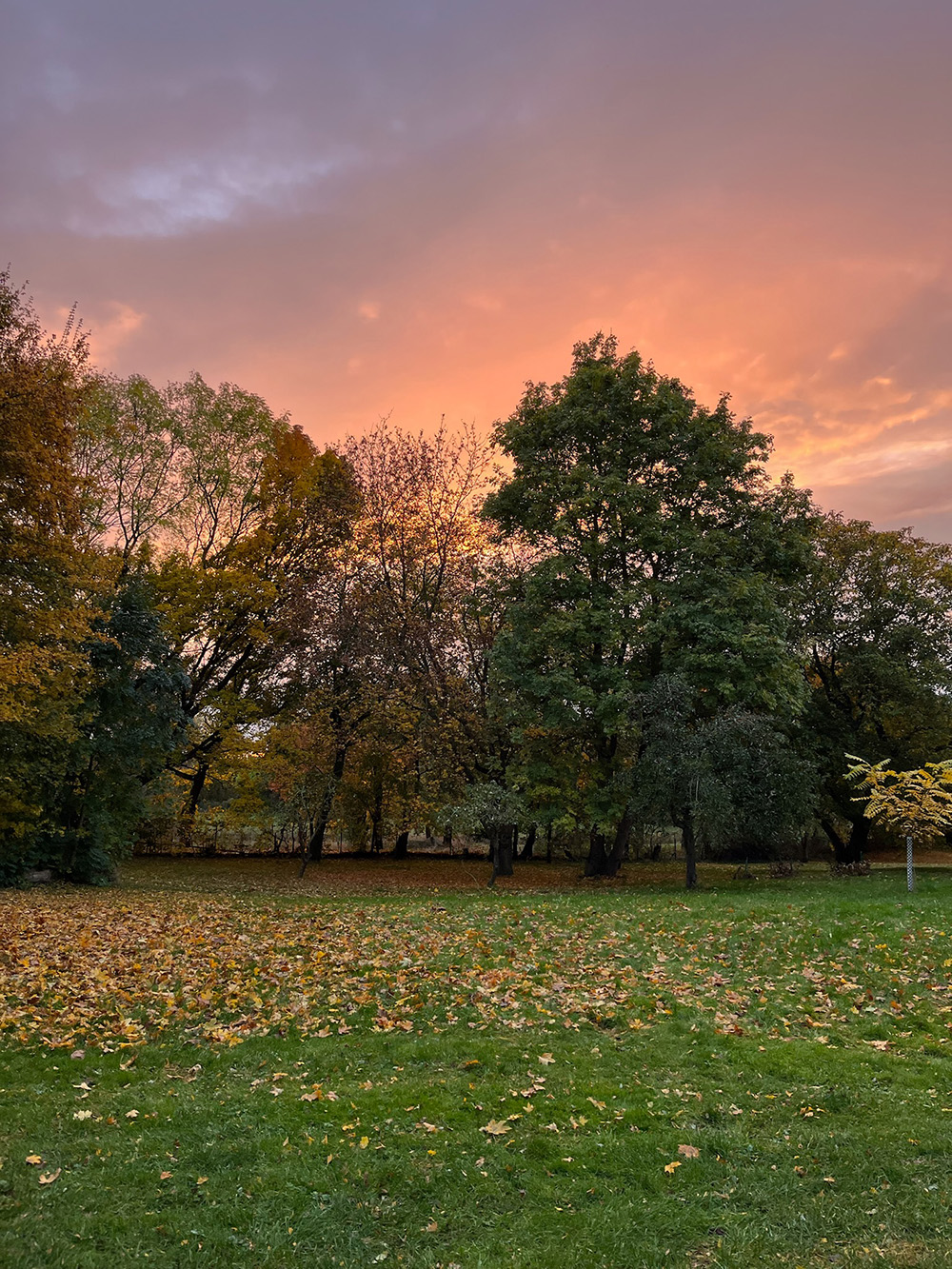 Foto einer Landschaft
