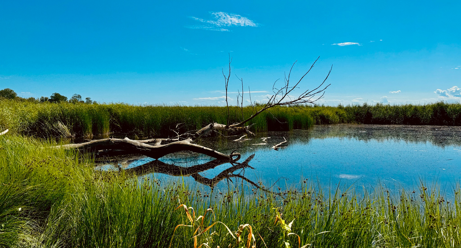 Foto einer Landschaft