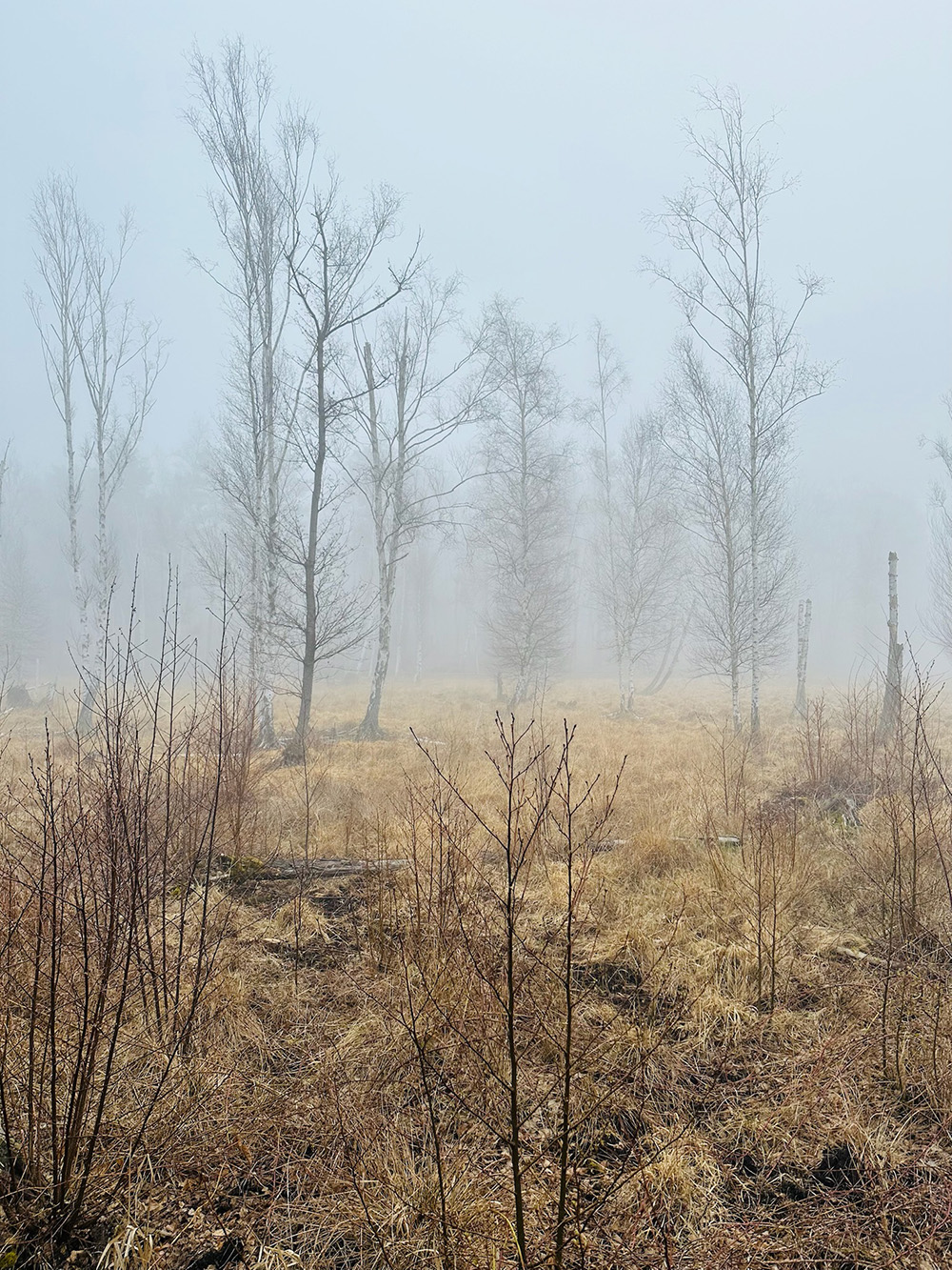 Foto einer Landschaft