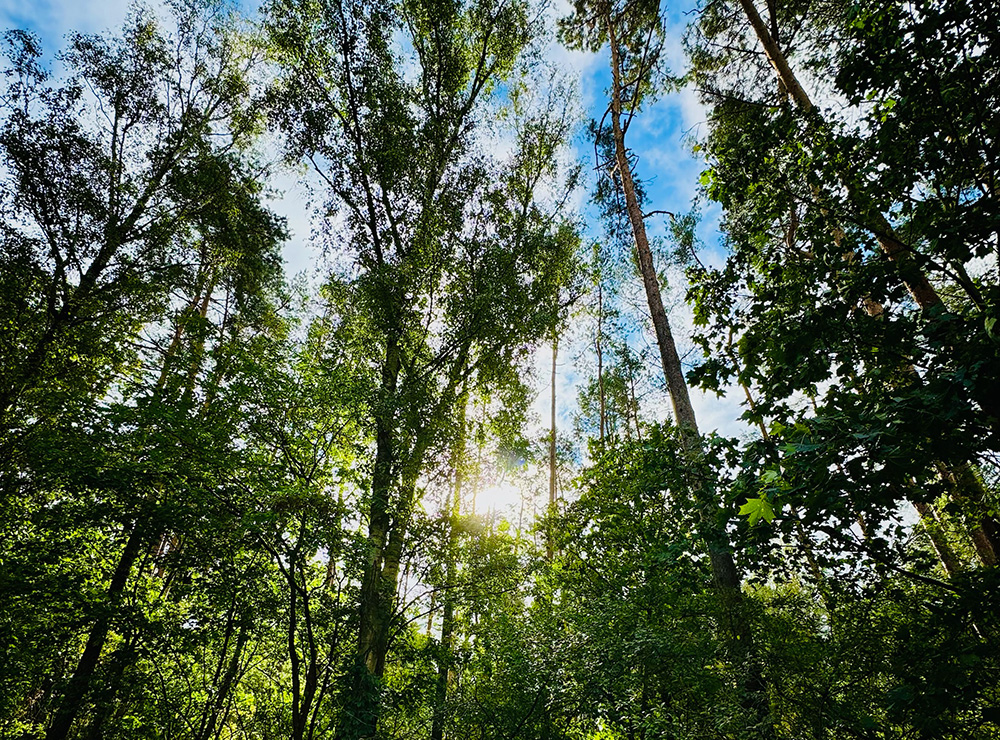 Foto einer Landschaft